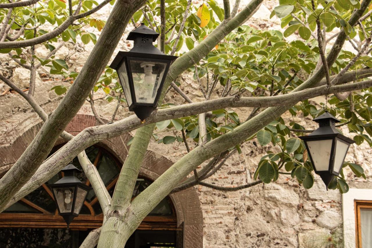 Orchid House سان ميغيل دي الليندي المظهر الخارجي الصورة