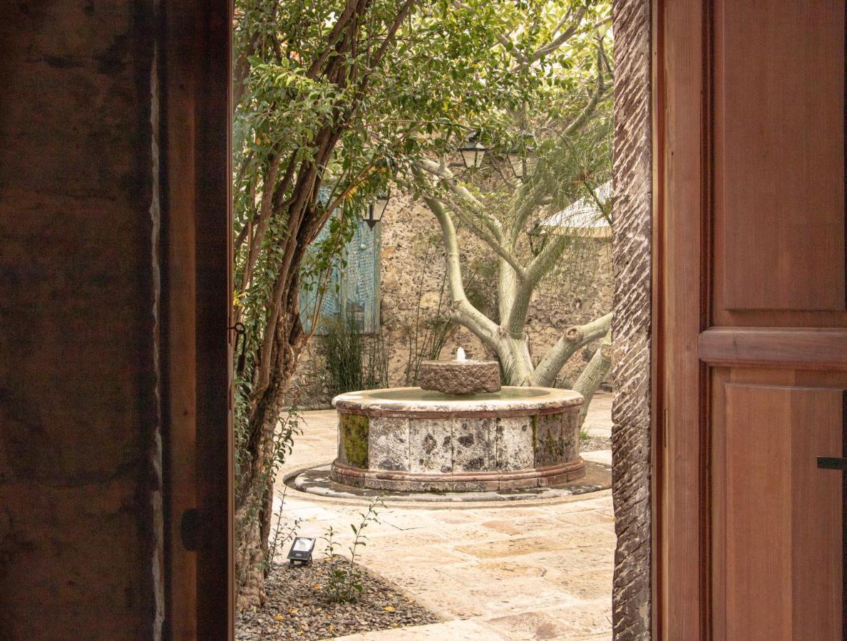 Orchid House سان ميغيل دي الليندي المظهر الخارجي الصورة