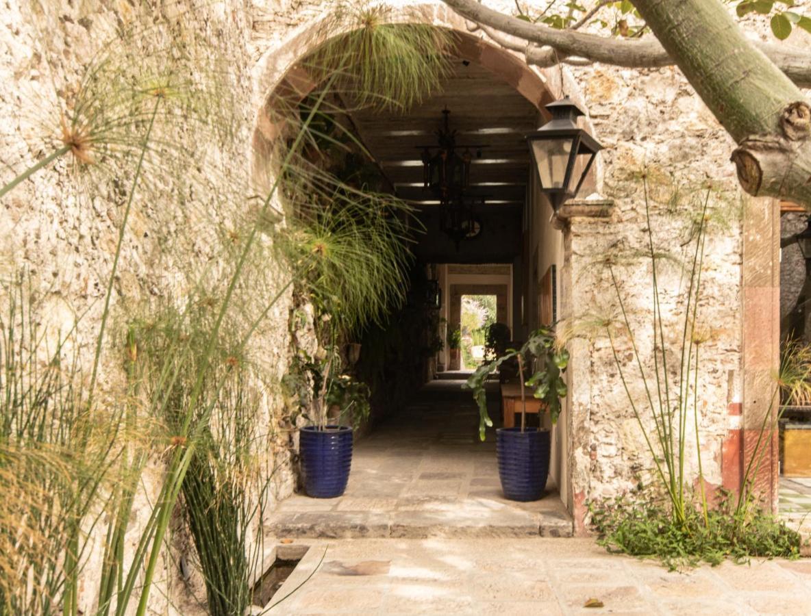 Orchid House سان ميغيل دي الليندي المظهر الخارجي الصورة