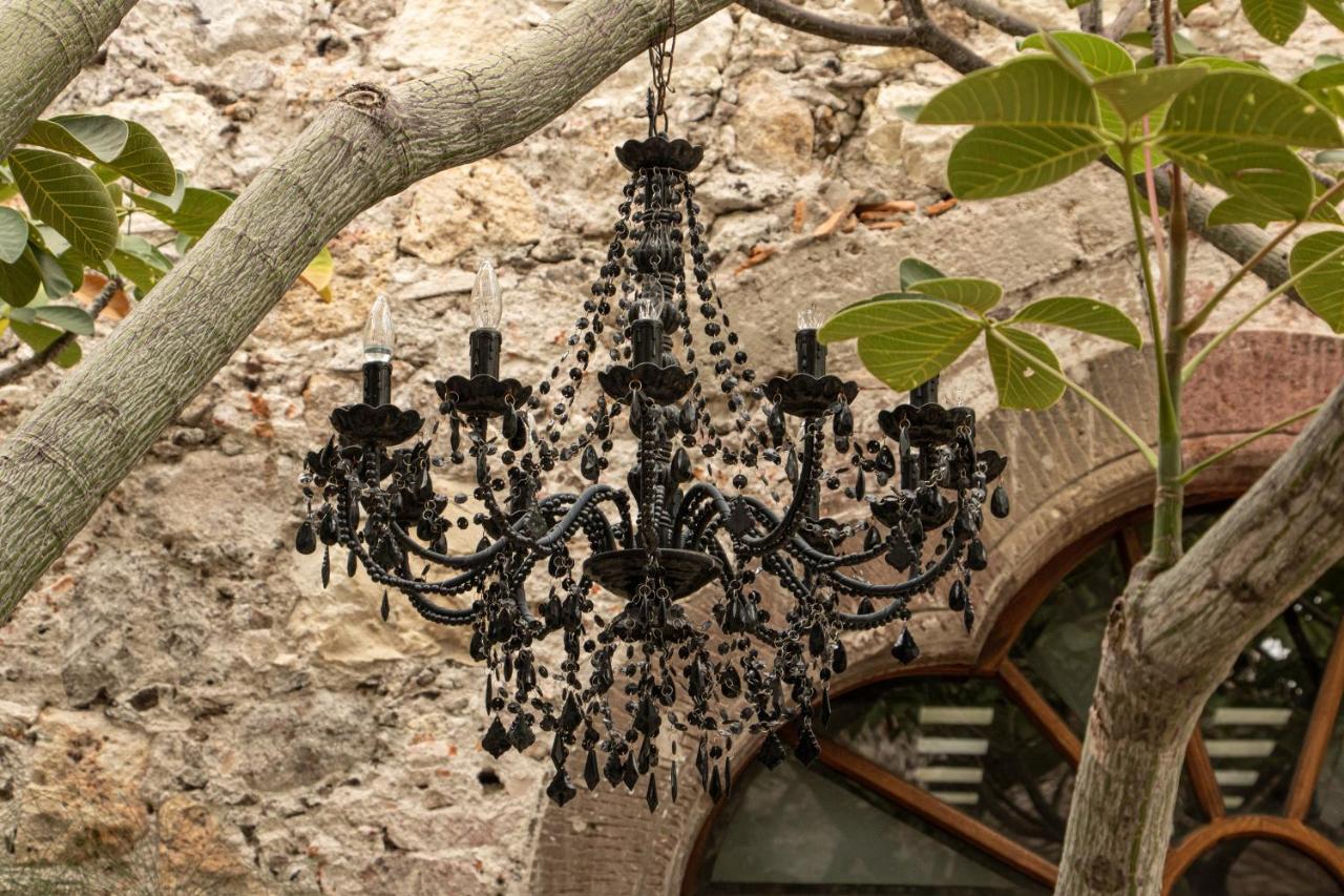 Orchid House سان ميغيل دي الليندي المظهر الخارجي الصورة