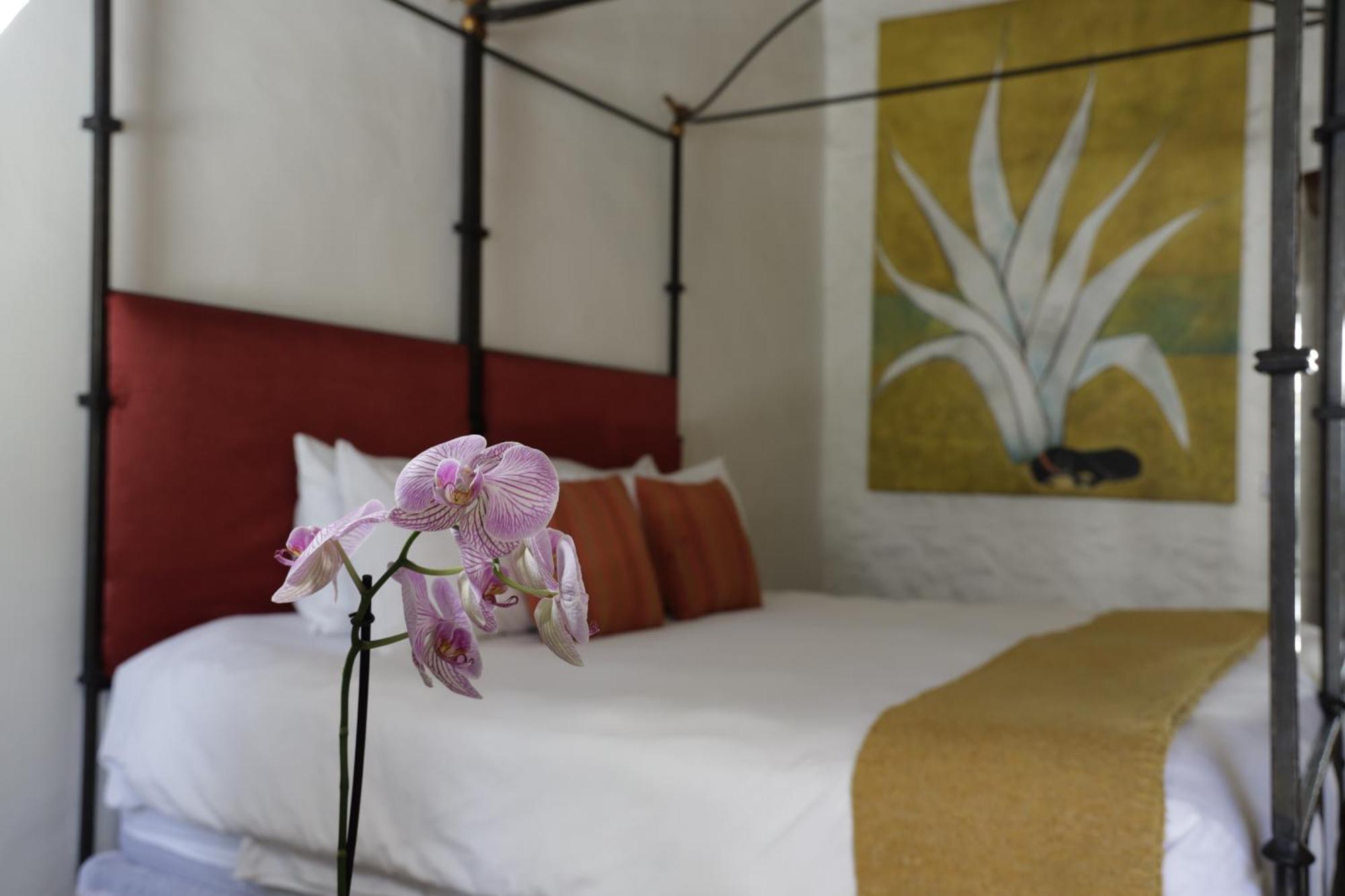Orchid House سان ميغيل دي الليندي المظهر الخارجي الصورة