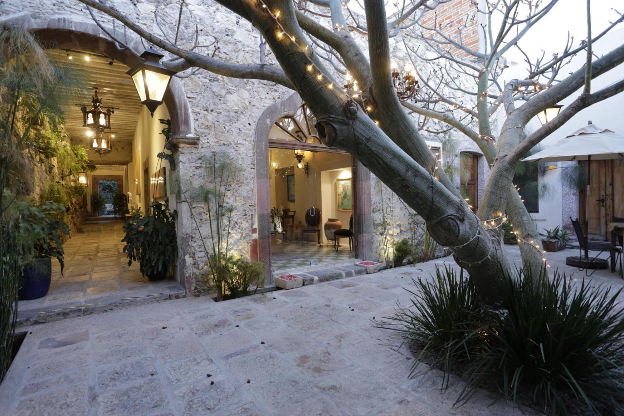 Orchid House سان ميغيل دي الليندي المظهر الخارجي الصورة