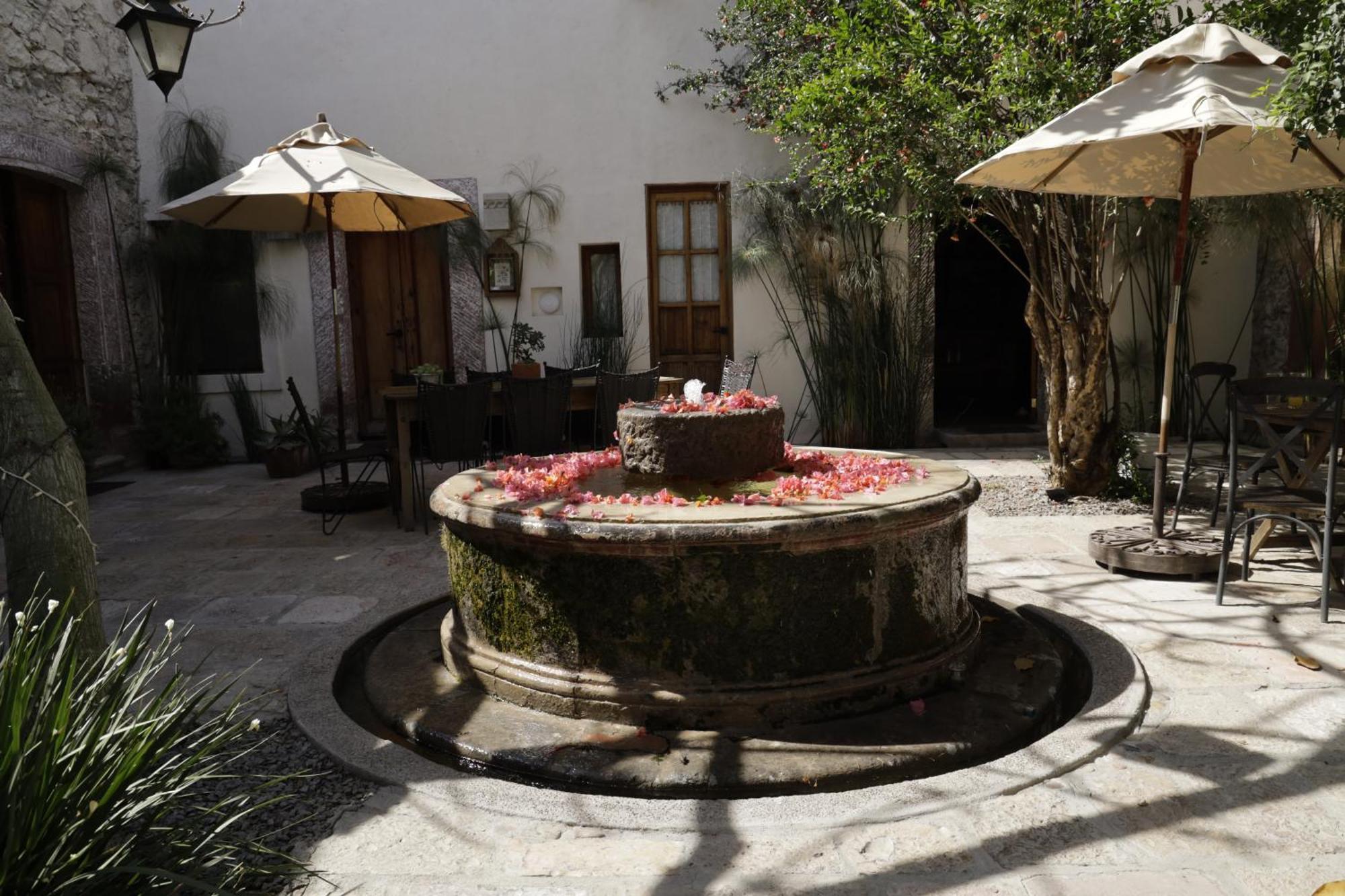 Orchid House سان ميغيل دي الليندي المظهر الخارجي الصورة
