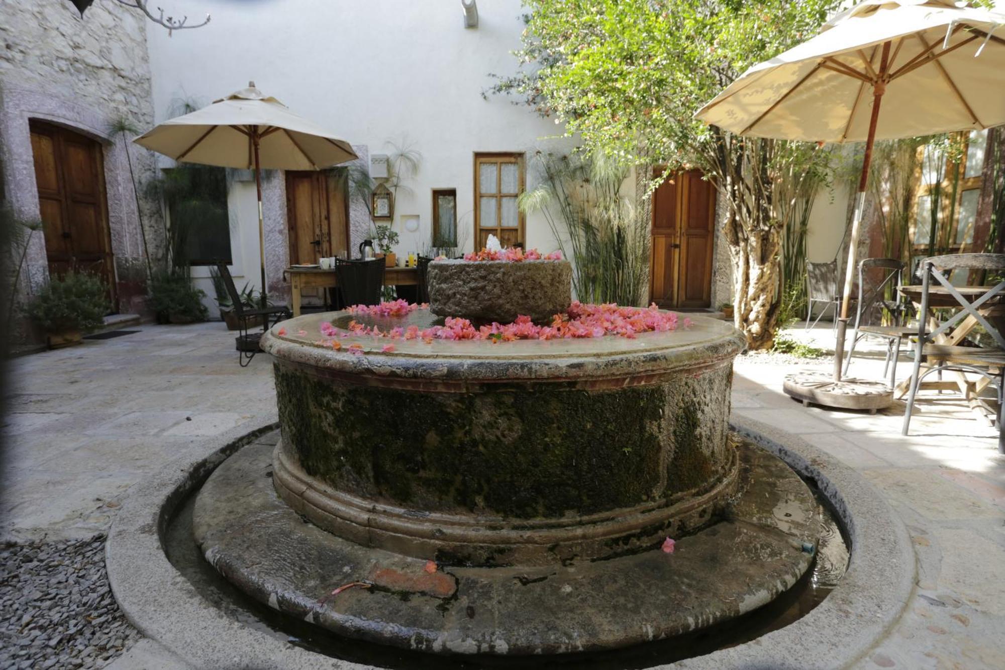 Orchid House سان ميغيل دي الليندي المظهر الخارجي الصورة