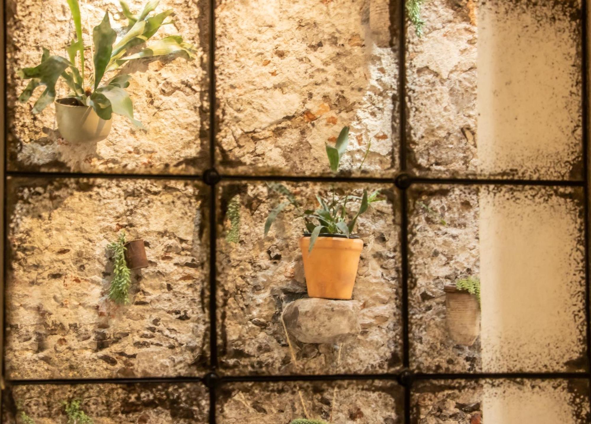 Orchid House سان ميغيل دي الليندي المظهر الخارجي الصورة
